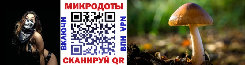 Галлюциногенные грибы ЛСД  дарк нет наркотические препараты  Холмск  мега ССЫЛКА 